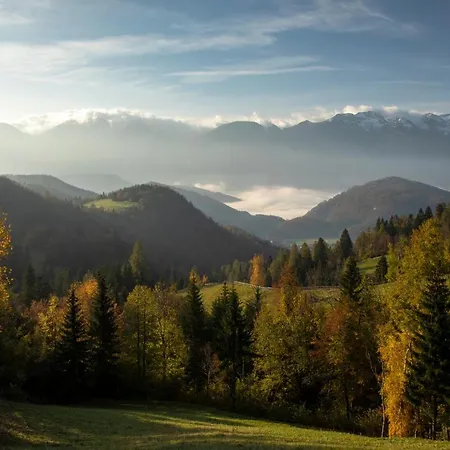 A House With The View Apartment Srednja Vas v Bohinju Exterior photo