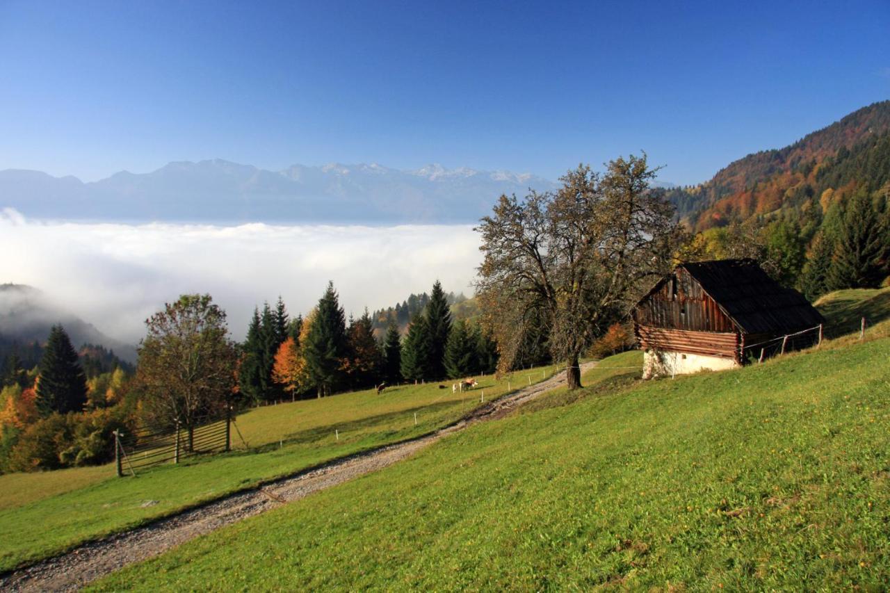 Apartment A House With The View Srednja Vas v Bohinju